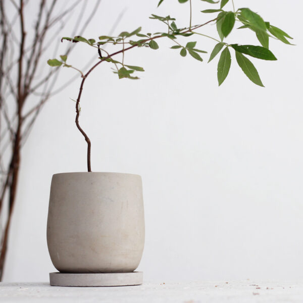 Round Cement Flower Pot Round Cement Flower Pot