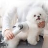 Smart Pet Hair Dryer Dog Golden Retriever Cat Grooming Hairdressing