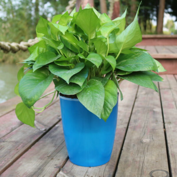 Strongwell Nordic Hydroponics Flower Pot Fairy Garden Strongwell Nordic Hydroponics Flower Pot Fairy Garden
