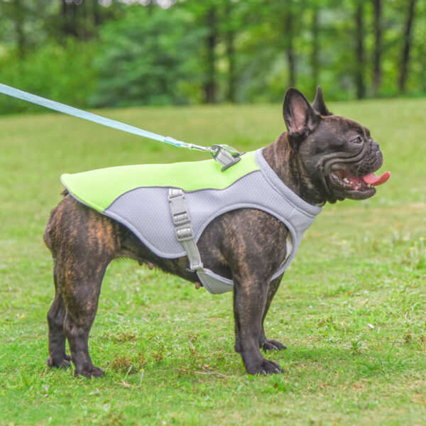Summer Pet Dog Cooling Vest Heat Resistant Cool Dogs Clothes Breathable Summer Pet Dog Cooling Vest Heat Resistant Cool Dogs Clothes Breathable
