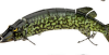The Classical Multistage Bionic Lure