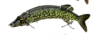 The Classical Multistage Bionic Lure