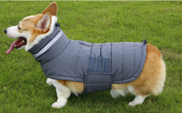 Winter Dog Coat Waterproof Pet Clothes for Medum Large Dogs Warm